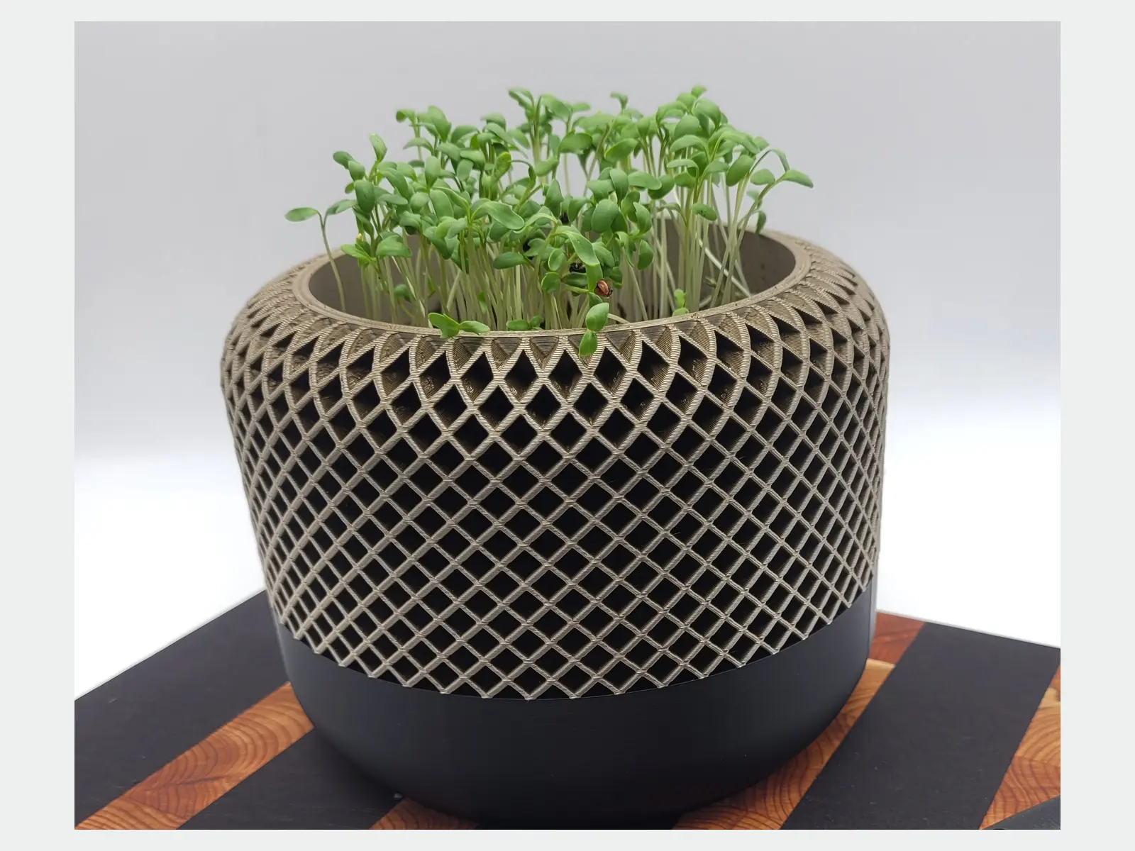 Zweifarbiger 3D-gedruckter Pflanztopf mit feiner Gitterstruktur